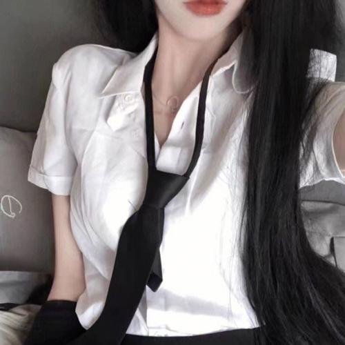 心之所归